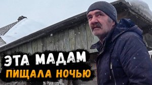 ПРИХОЖУ, А ОНА ГОТОВАЯ ЛЕЖИТ 😱 // А ЧЕМ ЕЁ ОСЧАСТЛИВИТЬ? ЧАЕМ?