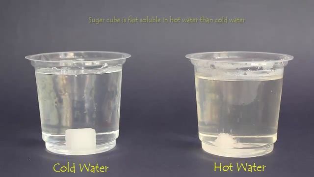 Solubility in Hot and Cold Water | English смотреть онлайн