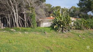 Прогулка к Эстепоне по побережью.  5 января 2025 года.