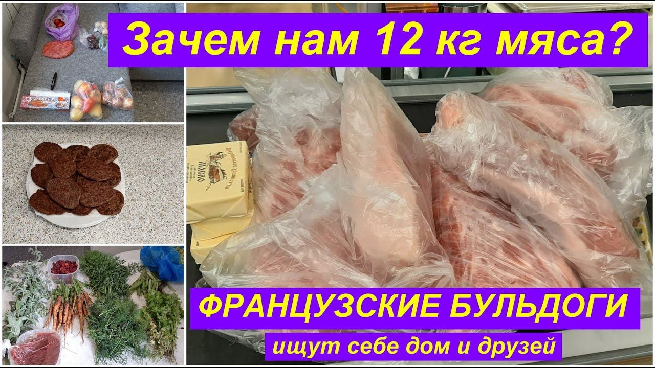 ЗАЧЕМ НАМ 12кг МЯСА?/ФРАНЦУЗСКИЕ БУЛЬДОГИ/КАК ПРИГОТОВИТЬ ПЕЧЕНОЧНЫЕ ОЛАДЬИ ИЗ КУРИНОЙ ПЕЧЕНИ/ВЛОГ