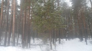 Внимание! Дослушайте пж - это щас важно. Вам стоит задуматься, пока живы!