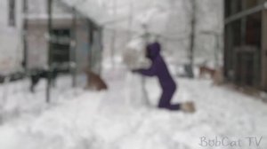 ЛЕПИМ С РЫСЯМИ СНЕГОВИКА / Чей снеговик лучше?