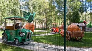 "Быстрые" машинки.