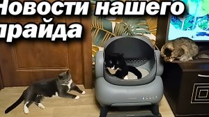 Новости нашего прайда.