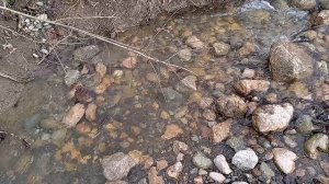 ПРОДАЁТСЯ ЗЕМЕЛЬНЫЙ УЧАСТОК