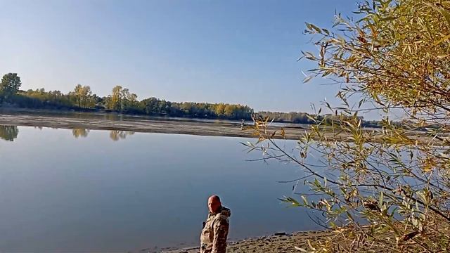 Перешли остров #остров #путешествие #прогулкапооби #прогулкаполесу #жизньвлесу