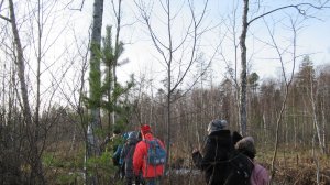 Юнтоловский ООПТ