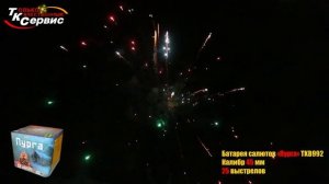 TKB992 Пурга 25*2