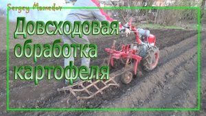 ➤ДОВСХОДОВАЯ ОБРАБОТКА КАРТОФЕЛЯ.