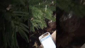 старый телефон работает😮