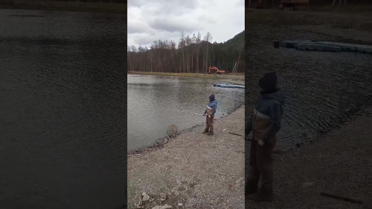 Поймал форельку смотреть онлайн