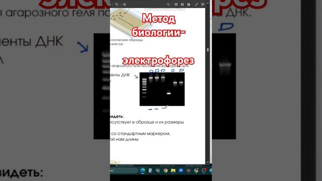 Метод биологии, который встречается в 1 и 2 части #биология #биологияегэ