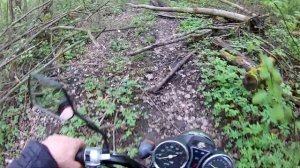 Лесные покатушки на альфе #3