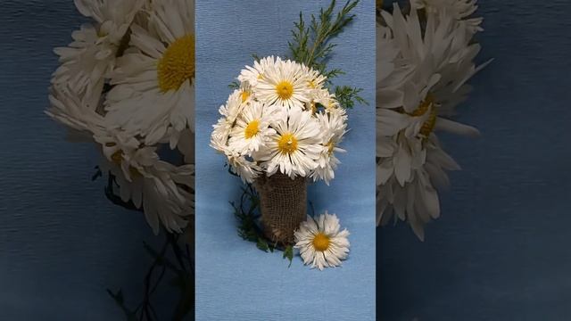 Вологодское кружево, хризантема в сад. #chrysanthemumflower