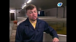 Фермерское осетровое хозяйство "АкваФерма"