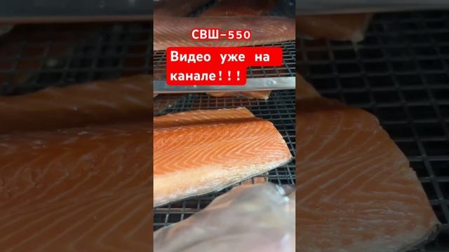 СВШ-550 Сушильно Вялочный Шкаф от Федотова А.В «Вялим и Коптим» вкусная рыба в Новосибирске 🐟#рыба