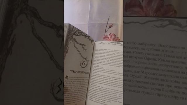 Лабиринт фавна новелизация