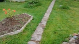 ЭЛЕКТРОГРЯДКА №5 июнь 2024 год