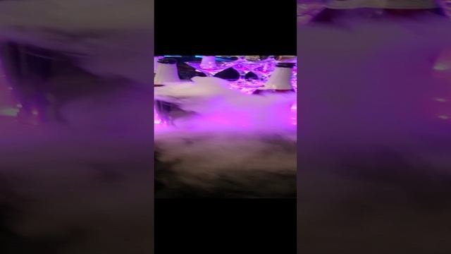 Начало Шоу 2016