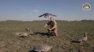 Махокрыл Duck Mania | Гусиные чучела
