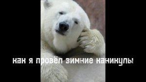 КАК Я ПРОВЁЛ ЗИМНИЕ КАНИКУЛЫ | всё норм