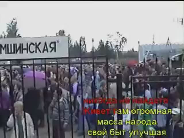 Мшинские садоводства
