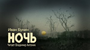 «Ночь». И.А. Бунин. Читает Владимир Антоник. Аудиокнига