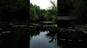 Река Теша 😊