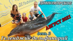 Дивноморское / Дельфинарий Геленджик / чёрное море / август 2021 / день 3