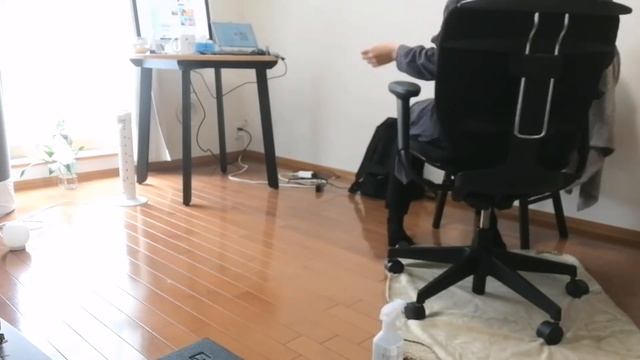 【在宅勤務】作業デスク公開。中古オフィスチェアと薄型ディスプレイで快適ワーク/What's on My DESK?