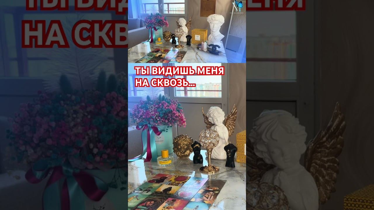#тарометаморфоз#таромари#tarotreader#tarotcards #tarotonline #tarotreading #tarotamor#tarotscope