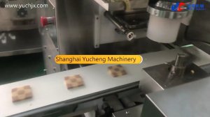 Mosaic Sudoku grid Square Shape Ice box cookies slicing cookies making machine