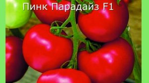 Каталог семян гибридов томатов и овощных культур от Липатова.