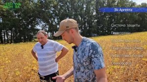 Сорт сои ЭН Аргента. Воронежская обл.