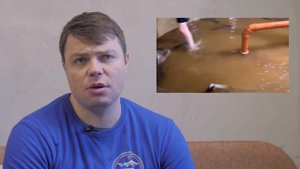 Клариевые сомы на Акваферме