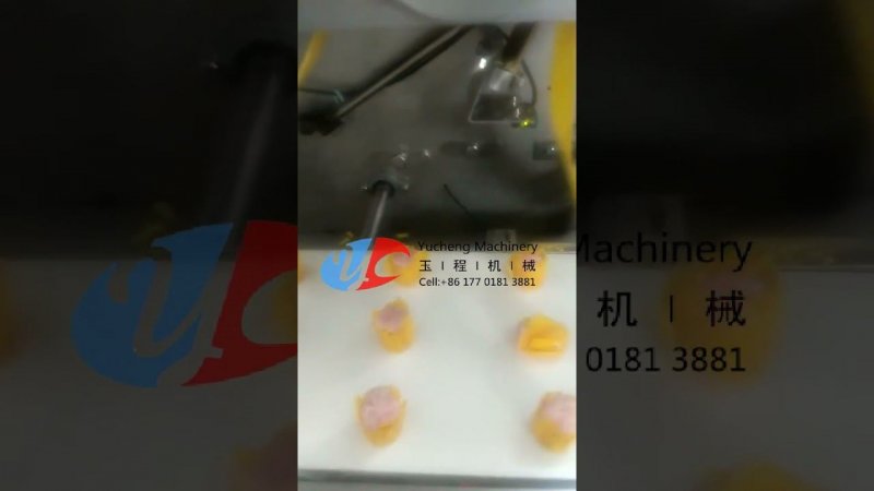 Three Row Line Meat Shaomai Shumai Siomai making machine