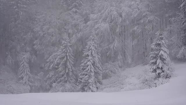 Снегопад