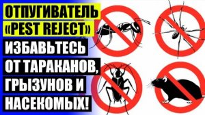 ☑ УЛЬТРАЗВУКОВОЙ ОТПУГИВАТЕЛЬ SITITEK ГРОМ