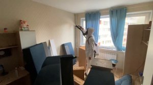 Уничтожение насекомых в квартире в Москве: обработка от клопов и тараканов