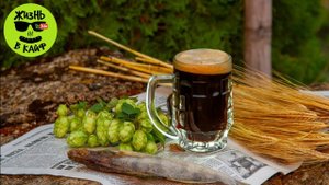 ДИКИЙ ХМЕЛЬ ДЛЯ ПИВА!!!!