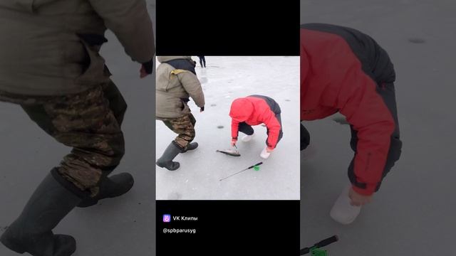 clip183649713_456244959