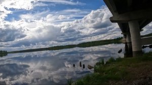 Река Сегежа.  Карелия.  Окунь!!!