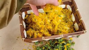 Как сделать полезный чай из одуванчиков