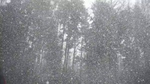 Зимний снегопад