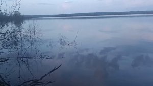 ✔️Как и на что, поймать леща, густеру, плотву и другую мирную рыбу весной