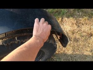 Брошенная ферма и что я там нашел.