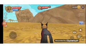 Открываем 40 сундуков и проверим способ на мистик в Wild Craft