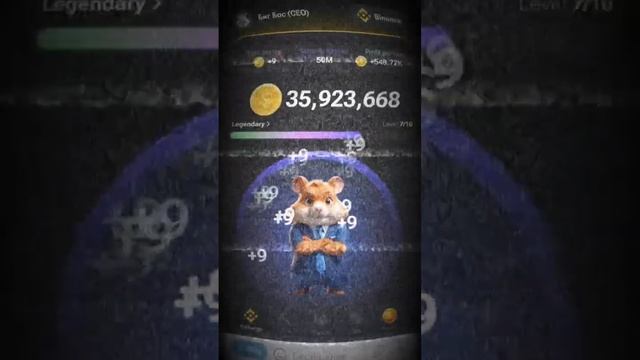 Hamster Kombat Как вывести деньги из Хомяка? #hamsterkombat