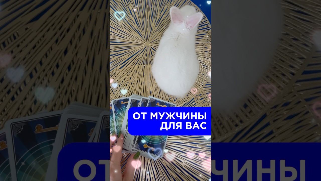 ♥ #ктоядлянегосейчас #каконкомнеотносится #каконживетсегодня#каконбудетдействовать