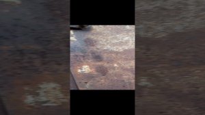 Участок 4 сот. + недострой Краснодарский край, г. Кропоткин ссылка